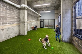 Pet-friendly community with pet park